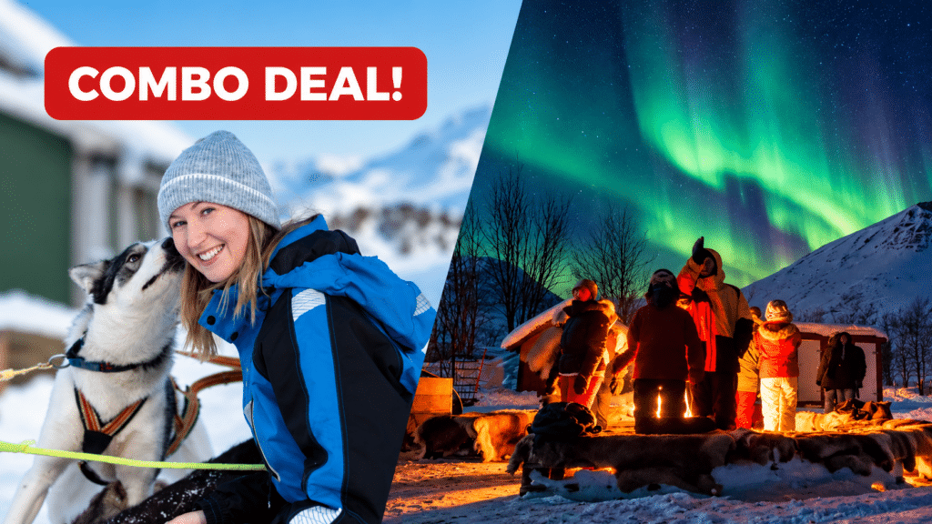 Dog Sledding & Northern Lights Combo