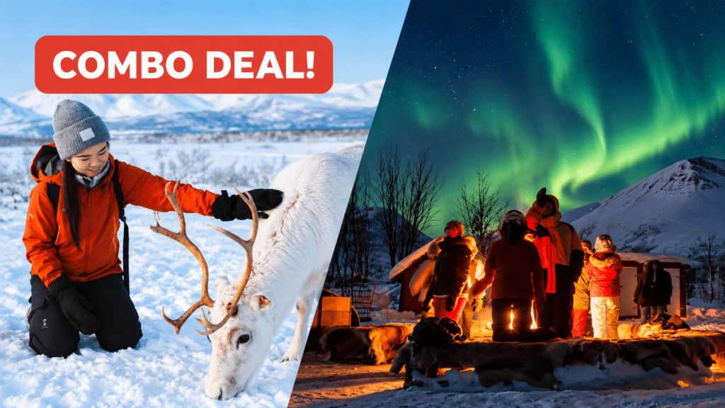 Winter Reindeer + Northern Light Combo