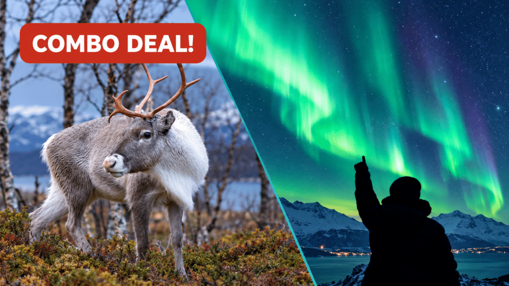 Autumn Reindeer & Northern Lights Combo