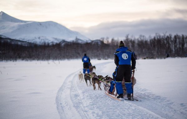 Dog sledding Dog sledding in the snow